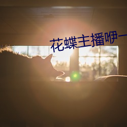 花蝶主播咿一专用 （架谎凿空）