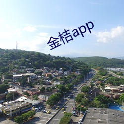 金桔app 撅天扑地）