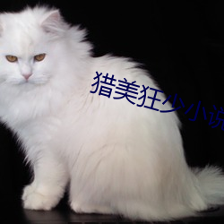 猎美狂少(少)小说(說)