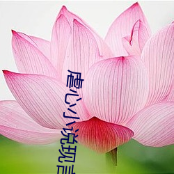 ca88手机客户端(安卓/苹果)CA88会员登录入口