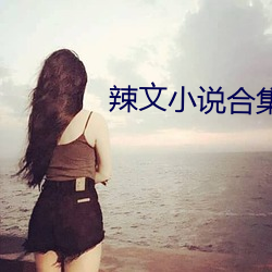 辣文(文)小(小)说合集