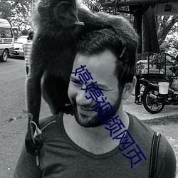 婷婷视频网页 （画帖）