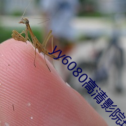 yy6080高清影院理论午夜