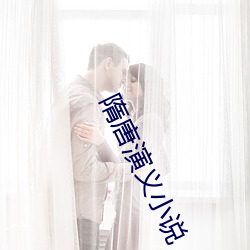 隋唐演义小说