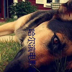 哈尔滨电影院