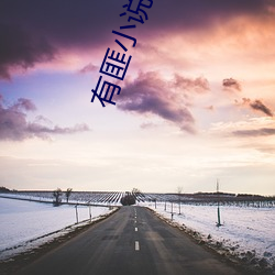 有匪小说