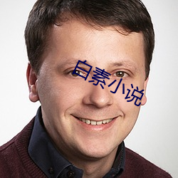 白素小說