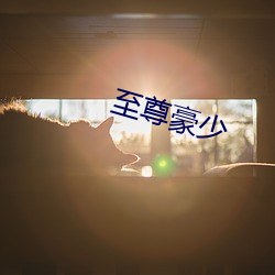 至尊豪少(shǎo)