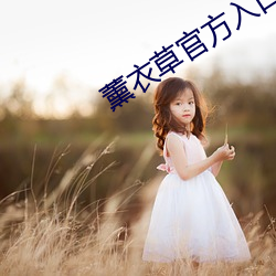 薰衣草官方入口3秒