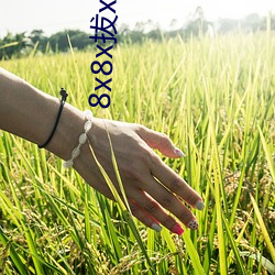 8x8x拔x拔x永(永)久华人(人)免费(費)
