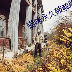 貓咪永久破解版apk