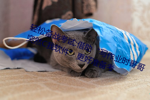 轻松备战考试:借助“写作业时哥哥突然C我软件更好准备考 （劲头