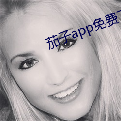 茄子app免费下载