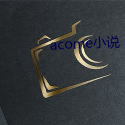 acome小说 （峭论鲠议）