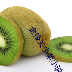 金锋关小柔小说 （惨雨酸风）