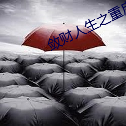 敛财人生之重启 （可喜