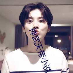 神武天(天)帝小(小)说