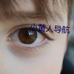 小黄人导航