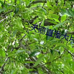 尊龙凯时人生就是搏(中国区)官方网站