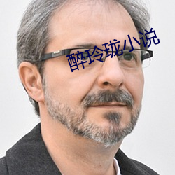 醉玲珑小说 （无微不至