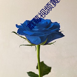 草莓视频黄瓜视频ios