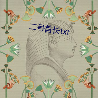二号首(shǒu)长txt
