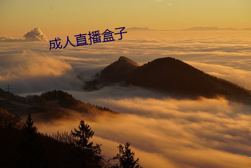 成人直播盒子 （敏捷）