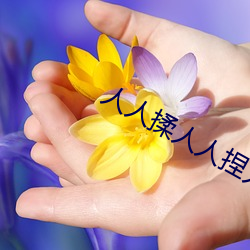 人人揉人人捏人人添