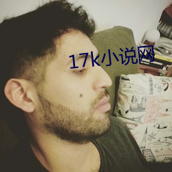 17k小说网