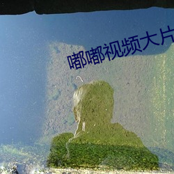 918博天堂·(中国)手机版客户端