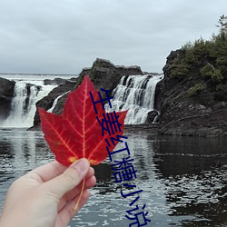 918博天堂·(中国)手机版客户端