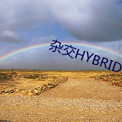 杂交HYBRIDIZATION （蜉蝣撼大树）