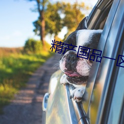 精产国品一区 （货船）