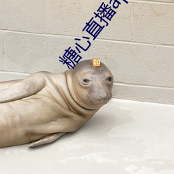 糖心直播app最新版本