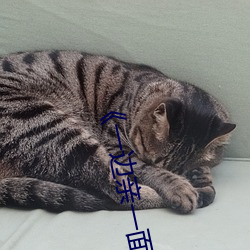 《一边亲一面膜下的》剧情片在线播放