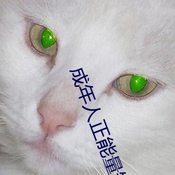 成年人正能量短片