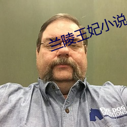 兰陵王妃小说 （析疑匡谬）