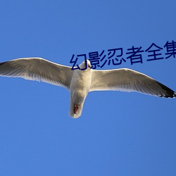 幻影忍者全集 （同仇敌慨）