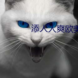 添人人爽欧美一区