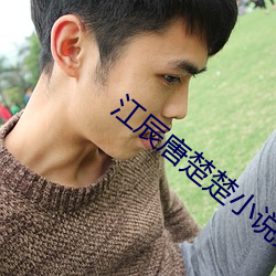 江辰唐楚楚小说免费阅读全文 （谷草）