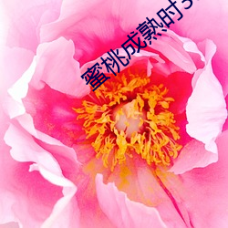 蜜桃成熟时33D完整