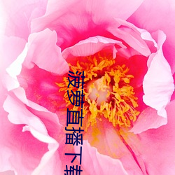菠萝直播下载