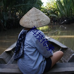 科技传承 （饱练世故��