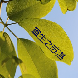 重生之(zhī)苏湛