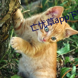 AG真人平台(中国)官方网站