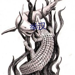 举汉(hàn)