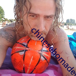 chinesehomadeviveo