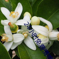 24小时免费情感聊天
