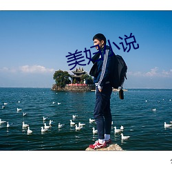 美妇小(小)说