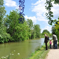 噴水動態圖